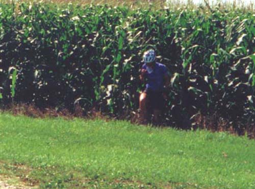 NancyRunningFromCornBear
